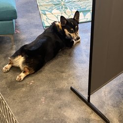 Doodle all Day - Lounging
