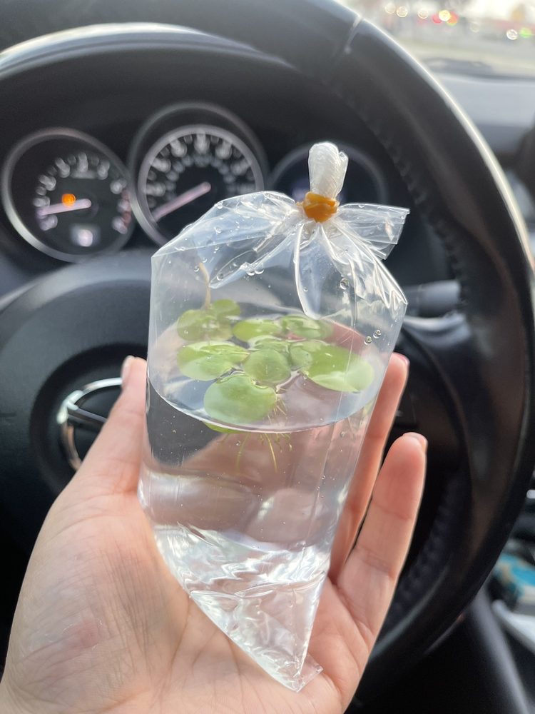 BAKERSFIELD AQUATIC PETS Updated October 2024 23 Photos & 24