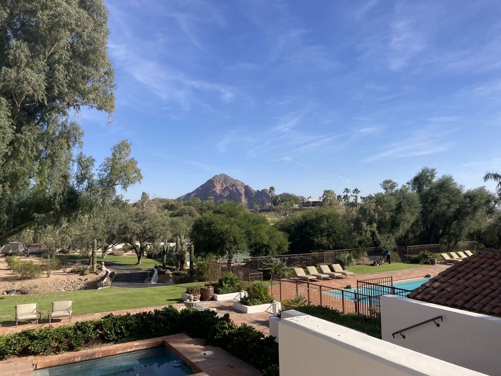 Gold Medal Tree Management - tree service in Mesa, AZ