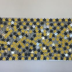 Saguaro High School - Class of 2023 display