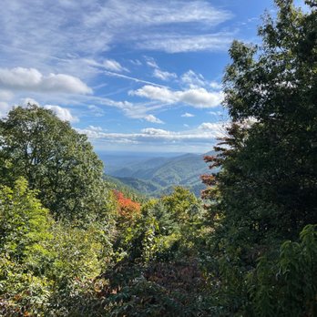 Gorges State Park - Parks Near Me - Sapphire, North Carolina Gorges State Park - Parks Near Me - Sapphire, North Carolina