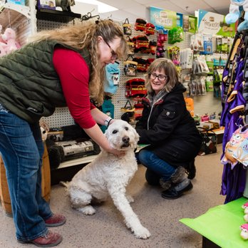 paws inn pet essentials