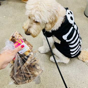 Mud Bay - Baci & his snacks run! Beef taffy, lamb lungs and smoke bones. He's a Meat guy! - Pet Stores Near Me - Mill Creek, Washington Mud Bay - Baci & his snacks run! Beef taffy, lamb lungs and smoke bones. He's a Meat guy! - Pet Stores Near Me - Mill Creek, Washington