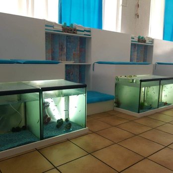 Fish Spa RheinMain - Skin Care Near Me - Mörfelden-Walldorf, HE Fish Spa RheinMain - Skin Care Near Me - Mörfelden-Walldorf, HE