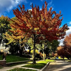 Lake of the Isles - Fall foliage seen in every direction