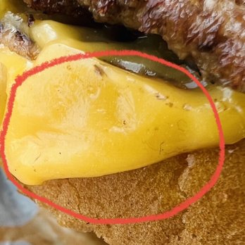 Culver's - Black fuzz on cheese - Burgers Near Me - Grovetown, Georgia