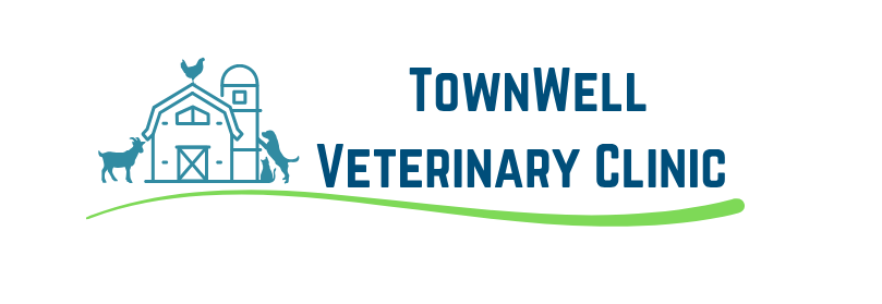 Townwell Veterinary Clinic Image