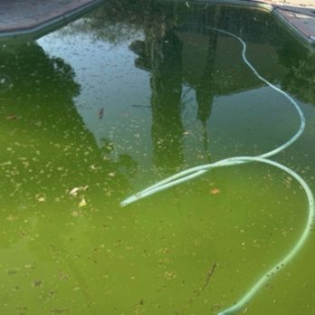 Aqua Clear Pool Services - Before doing drain and acid wash. - Pool Cleaners Near Me - El Cajon, California