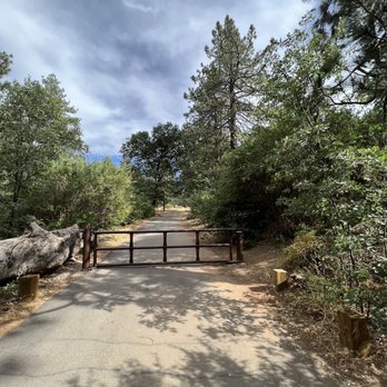 Laguna Lake Trail - Hiking Near Me - MOUNT LAGUNA, California