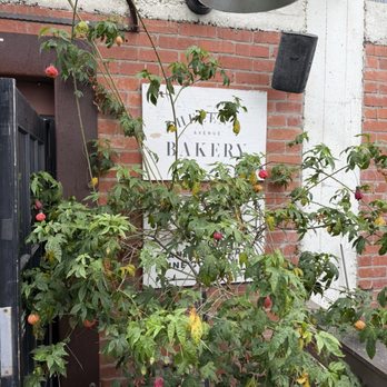 Helena Avenue Bakery - Bakeries Near Me - Santa Barbara, California Helena Avenue Bakery - Bakeries Near Me - Santa Barbara, California