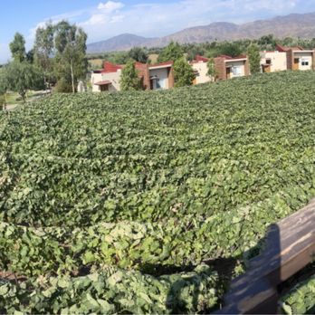 Ojo Azul - Wonderful locale - Venues & Event Spaces Near Me - Valle de Guadalupe, BCN Ojo Azul - Wonderful locale - Venues & Event Spaces Near Me - Valle de Guadalupe, BCN