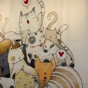 Ninja Matcha - Coffee & Tea Near Me - Houston, Texas Ninja Matcha - Coffee & Tea Near Me - Houston, Texas