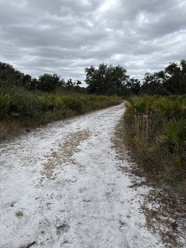 Little Manatee River Corrider Nature Preserve Image