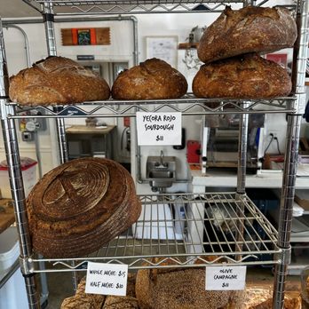 Quail and Condor - Coffee & Tea Near Me - Healdsburg, California Quail and Condor - Coffee & Tea Near Me - Healdsburg, California