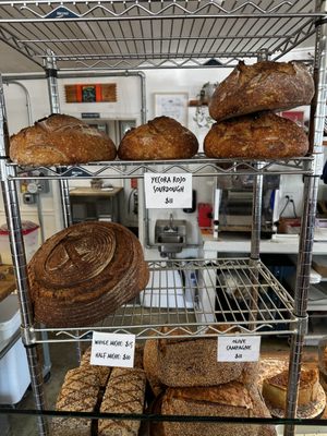 Quail & Condor by null