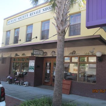 Humane Society of Lake County - A Gem on N Eustis Street - Community Service/Non-Profit Near Me - Eustis, Florida Humane Society of Lake County - A Gem on N Eustis Street - Community Service/Non-Profit Near Me - Eustis, Florida