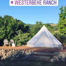 New glamping tents added onto the property! They are so fun and cozy at night. New glamping tents added onto the property! They are so fun and cozy at night.