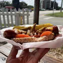 Hot Diggity Dogs and More - Chicago Style Dog