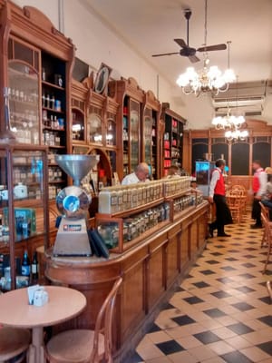 El Gato Negro by null