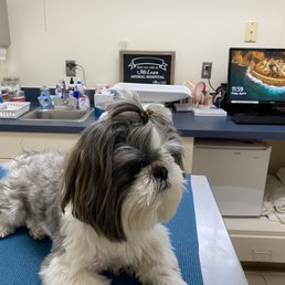 First visit - got so much love!