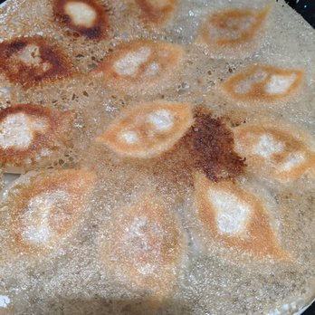 Special Noodle - Pan Fried Dumplings - Chinese Near Me - Newark, California Special Noodle - Pan Fried Dumplings - Chinese Near Me - Newark, California