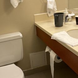 Chelsea Hotel - Bathroom was really small u cant hardly move