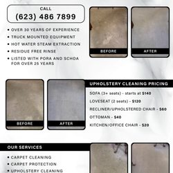 The Carpet Cleaner