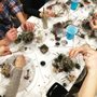 Photo of Visual Shift aka Botanical Art