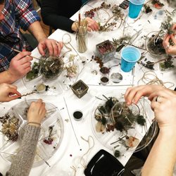 Visual Shift aka Botanical Art - Group Activities & Terrarium Event.