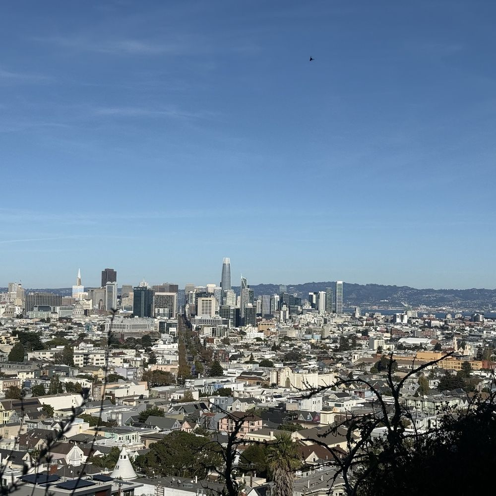 Urban Hiker - View of downtown SF - Walking Tours Near Me