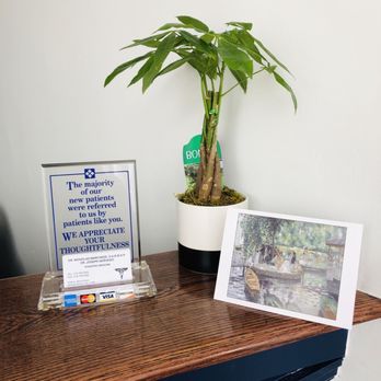 Nicholas Marchese DABMSP - Patient gave them a goo luck plant - Podiatrists Near Me - Massapequa, New York Nicholas Marchese DABMSP - Patient gave them a goo luck plant - Podiatrists Near Me - Massapequa, New York