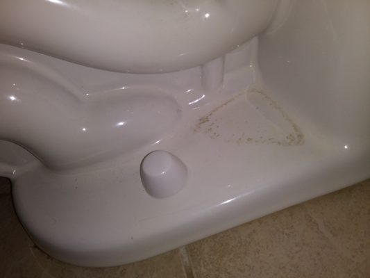 MAID IN HEAVEN CLEANING SERVICES - Updated January 2025 - 10 Photos