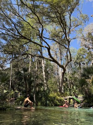 Kelly Park - Rock Springs by null