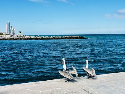Bal Harbour Beach by null