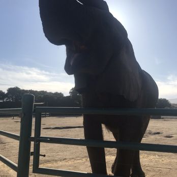 Vision Quest Ranch - Butch - Bed & Breakfast Near Me - Salinas, California