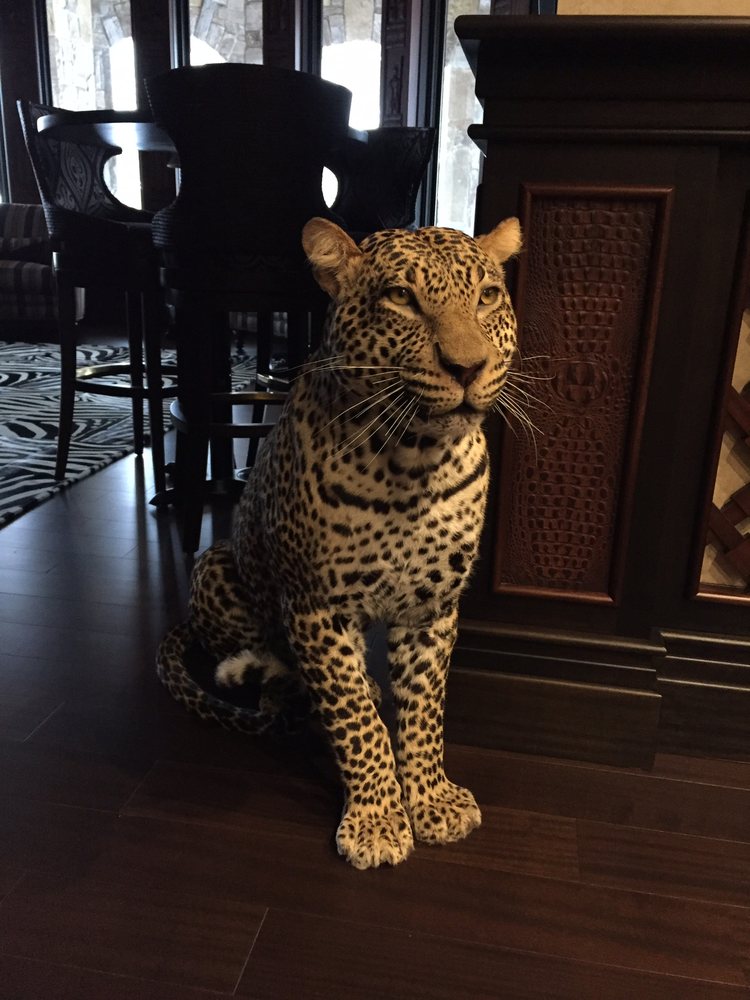 Whitburn Studios - taxidermy in Millington, MI