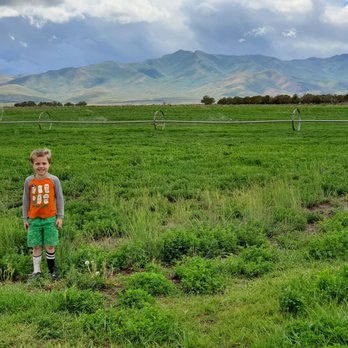 Bennion Beef - The next generation of Bennion Rancher - Ranches Near Me - Vernon, Utah