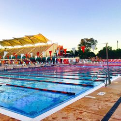 Alto Swim Club