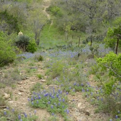 Shaffer Bend Recreation Area