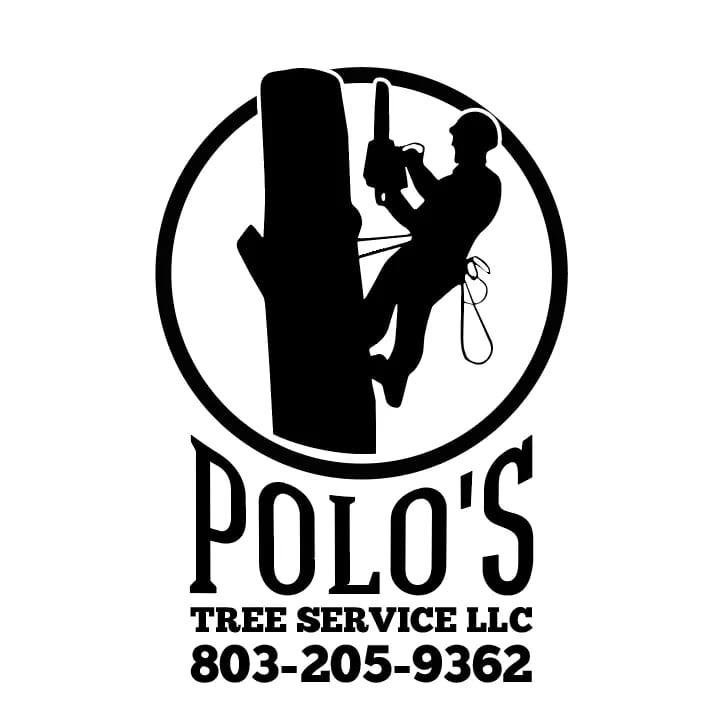 Polo's Tree Service - tree service in Columbia, SC