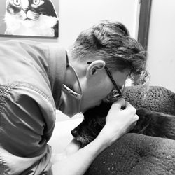 user provided Great Northwest Animal Hospital photo