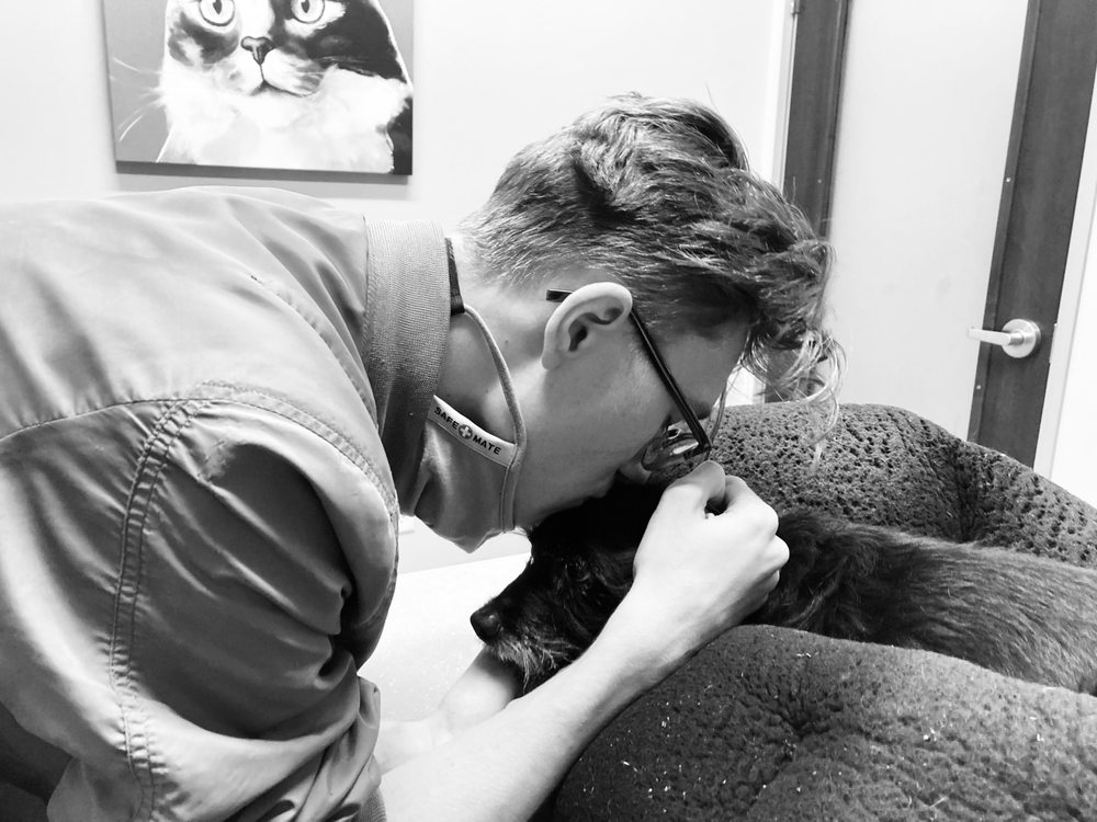 Great Northwest Animal Hospital - pet boarding facility in San Antonio, TX