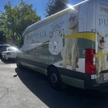 PuppyLux Mobile Spa - Pet Groomers Near Me PuppyLux Mobile Spa - Pet Groomers Near Me