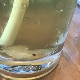 A fly in my drink. The hostess snatched it off my table with no apologies and I was ignored until I left. A fly in my drink. The hostess snatched it off my table with no apologies and I was ignored until I left.