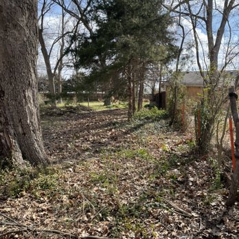 T&S Tree Service - Fence row clearing - Tree Services Near Me T&S Tree Service - Fence row clearing - Tree Services Near Me