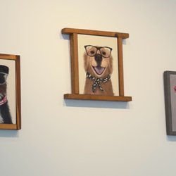 Happy Eyes