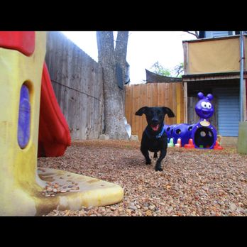 BHV- Austin - Awesome outdoor areas that are large and cooled with misters built at dog level.  Specialized groups based on size and temperament. - Pet Boarding Near Me - Austin, Texas