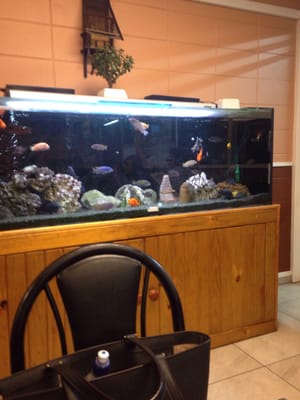 Try It Out Restaurant by null