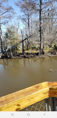 Bluebird Fish Camp by null