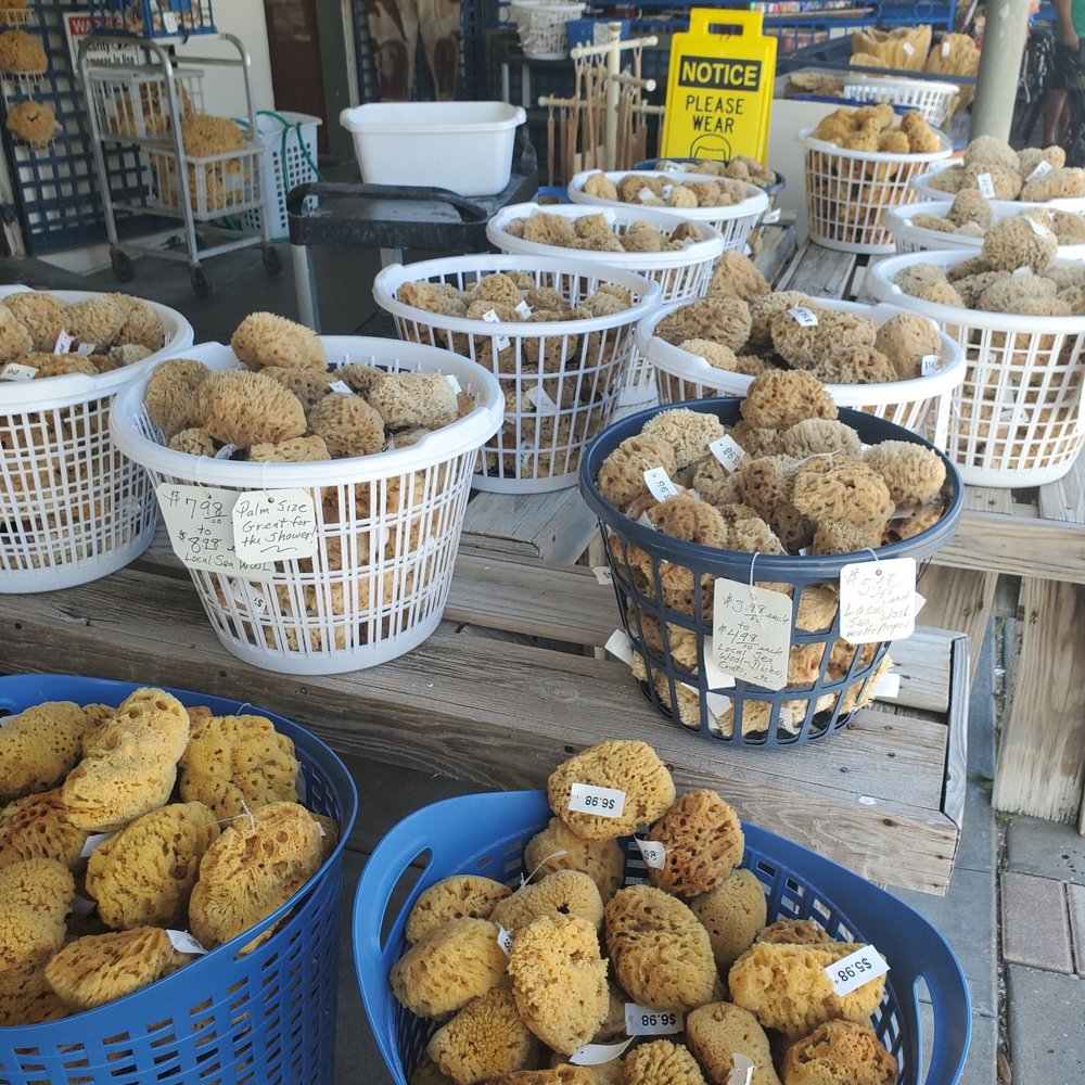 Tarpon Sponge - Souvenir Shops Near Me - Tarpon Springs, Florida Tarpon Sponge - Souvenir Shops Near Me - Tarpon Springs, Florida
